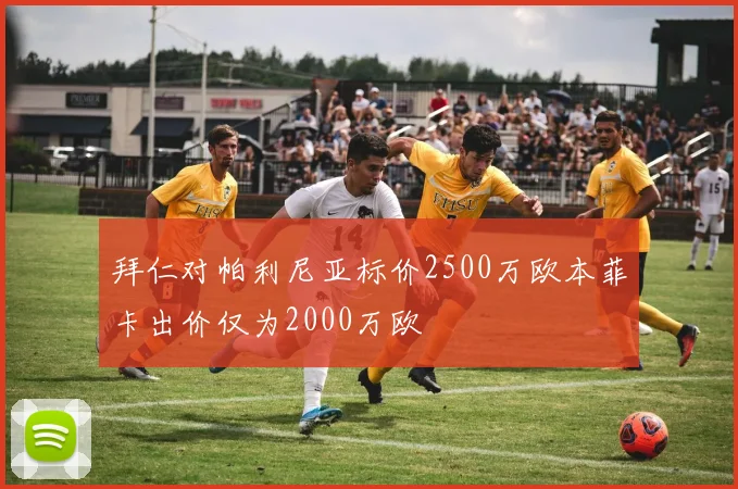 拜仁对帕利尼亚标价2500万欧本菲卡出价仅为2000万欧